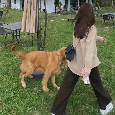 灾难末世